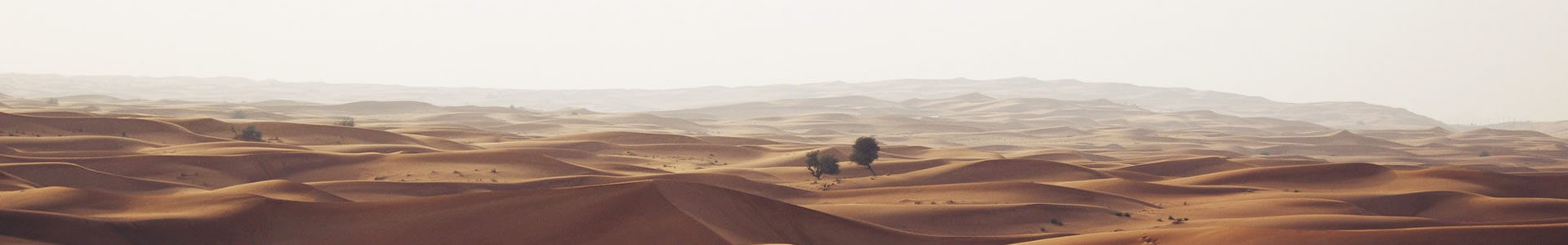 ൺƼչ޹˾